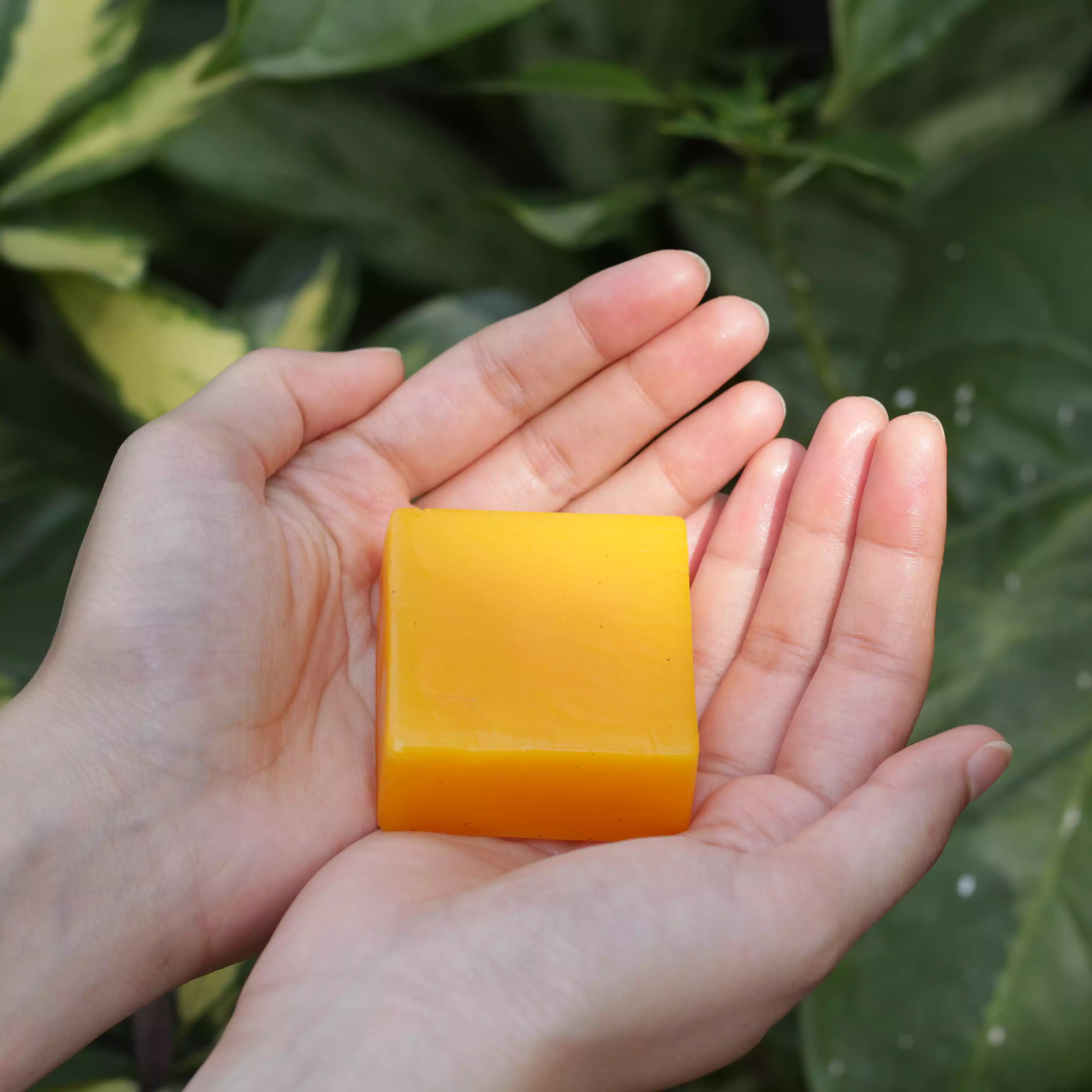 Love is in the (h)air - Natural Conditioner Bar for Dry & Frizzy Hair - Image 3