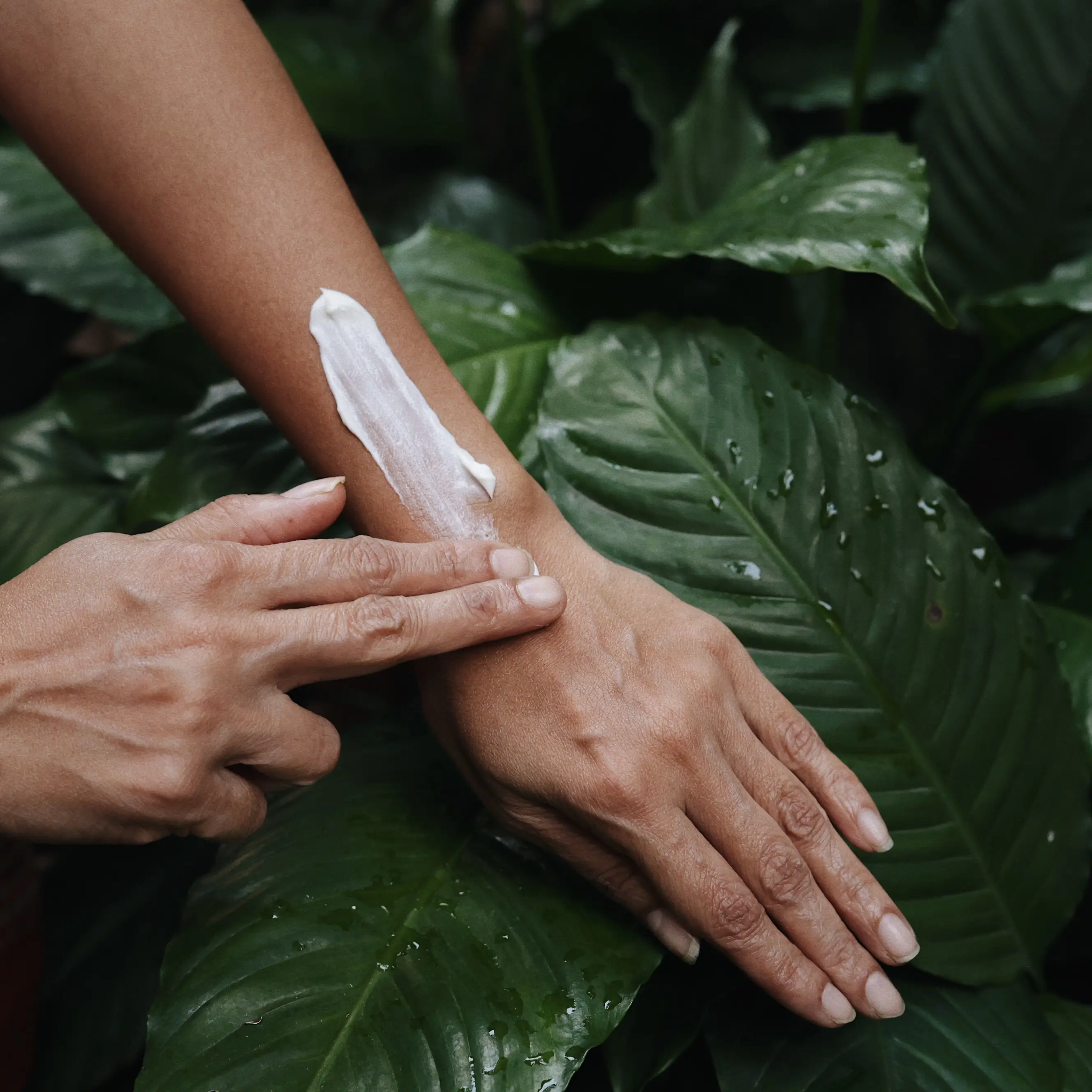 Rainforest Moisturizer - Rich Natural Body Butter for Dry Skin - Image 3